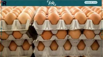 تحديث الأسعار.. كرتونة البيض ترتفع بشكل جديد في 15 ديسمبر 2025